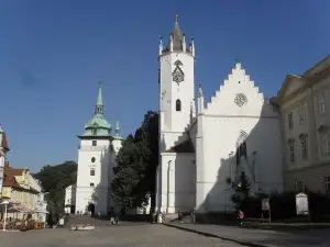 Jana Bernášková Knihy Recenze