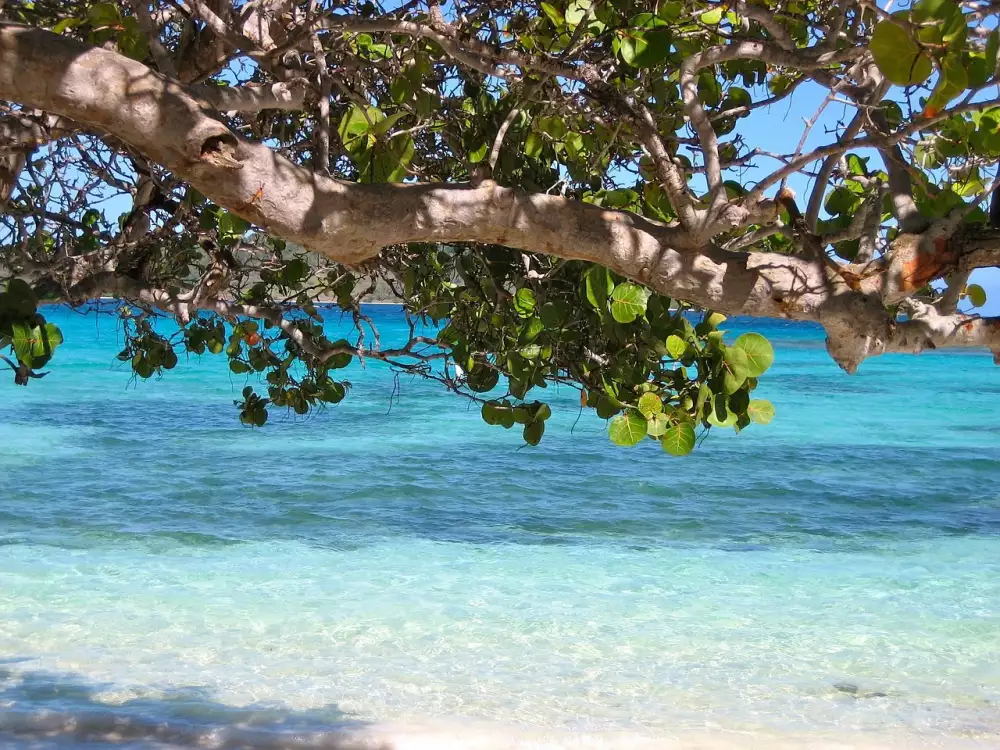 Dovolená Barbados